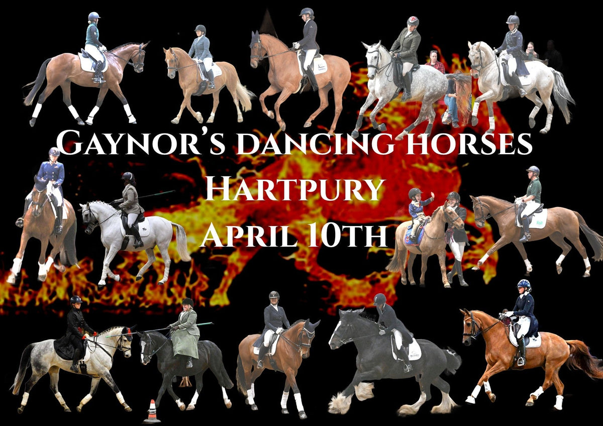 GAYNOR'S DANCING HORSES FIRE HORSE SPECTACULAR HARTPURY APRIL 10TH