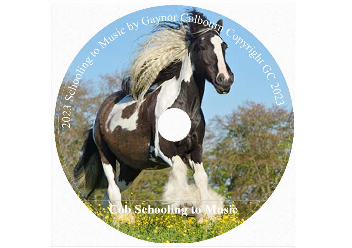 SCHOOLING TO MUSIC DOWNLOAD COB