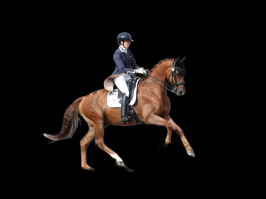 Dressage to Music Clinics with Gaynor Colbourn