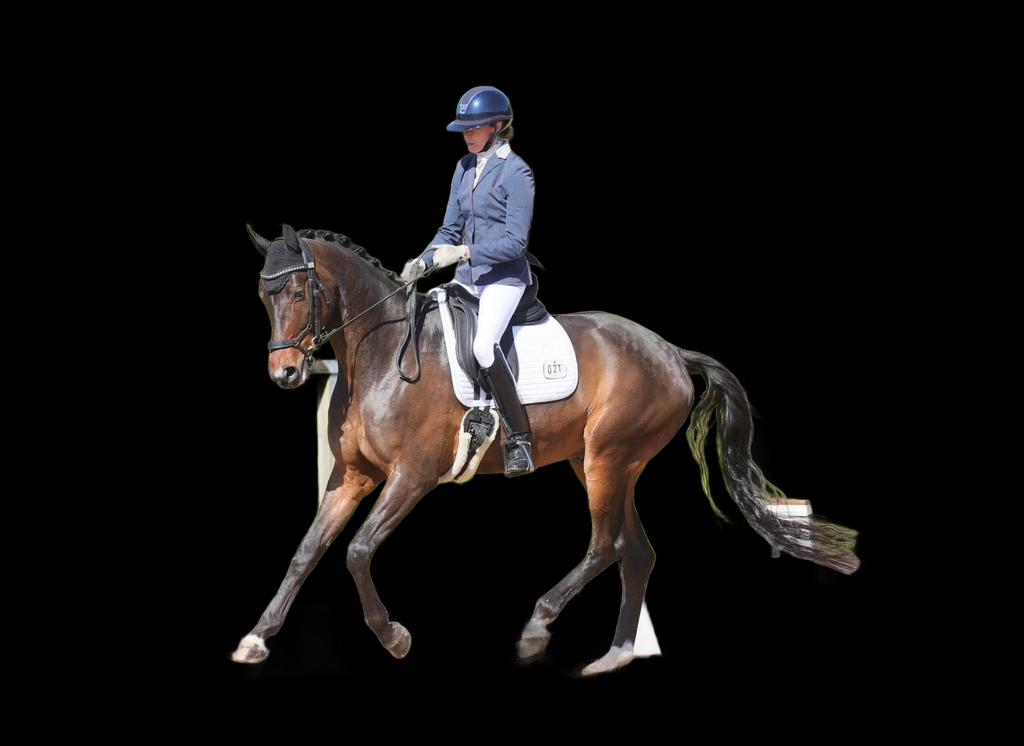 Dressage to Music Clinics with Gaynor Colbourn
