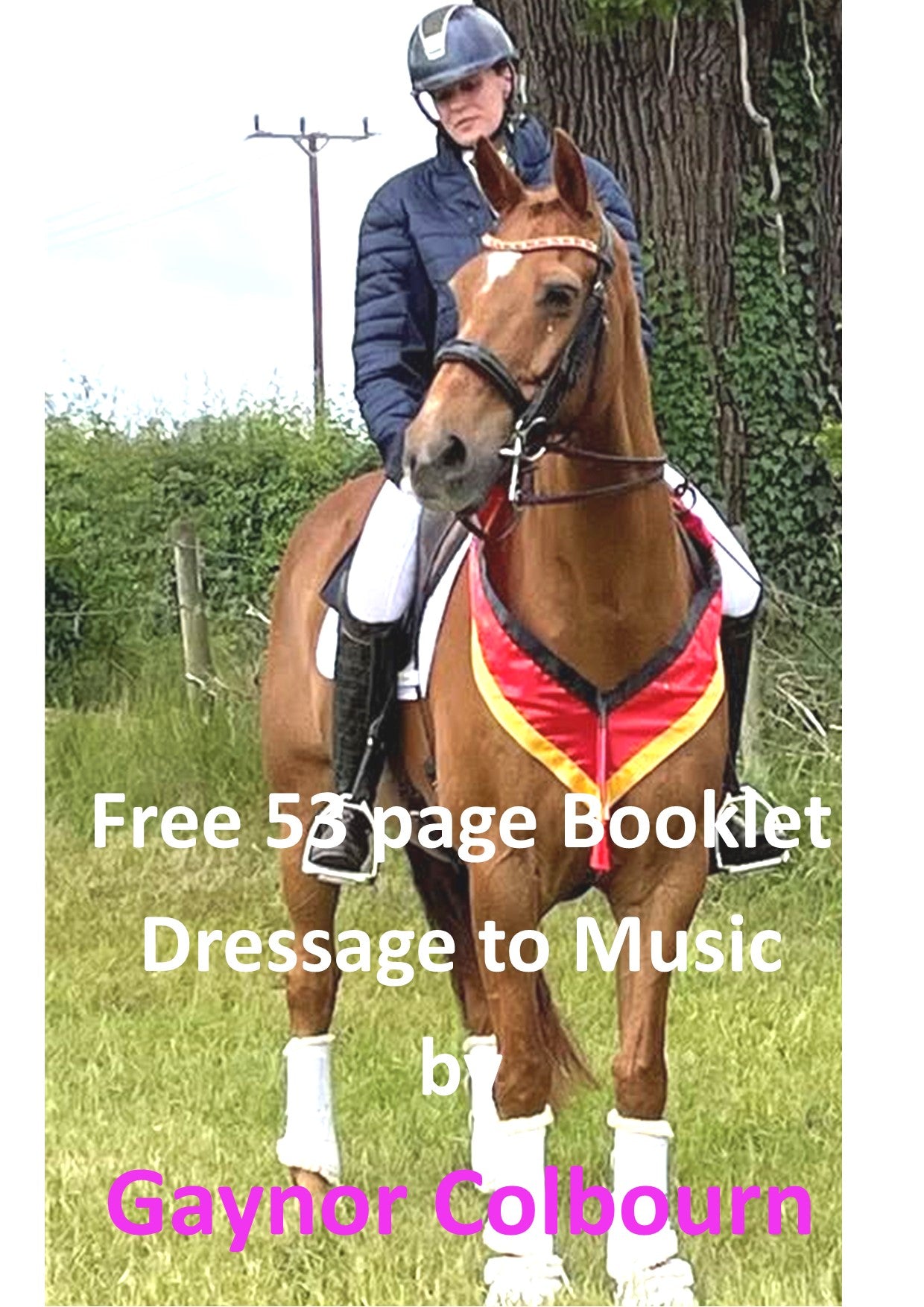 DRESSAGE TO MUSIC BOOKLET    FREE