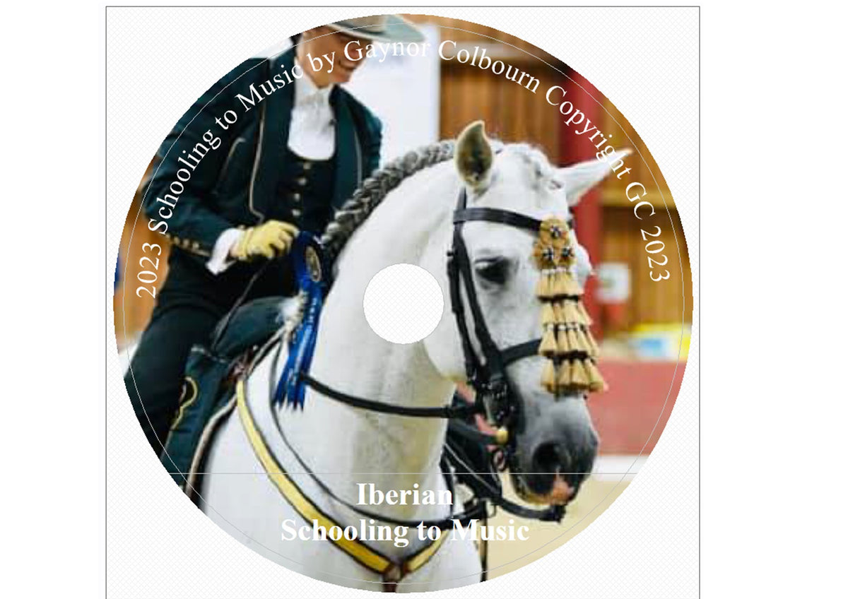 SCHOOLING TO MUSIC DOWNLOAD IBERIAN