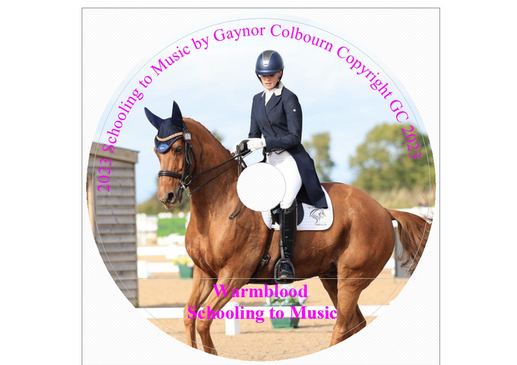 SCHOOLING TO MUSIC WARMBLOOD DOWNLOAD